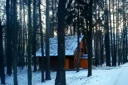 Nagornoe Holiday Home - 81