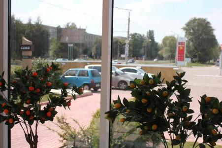 Soyuz Mini-Hotel - 25