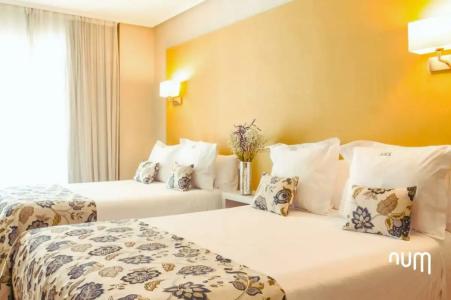 Regente Aragón Gastronómico - 40