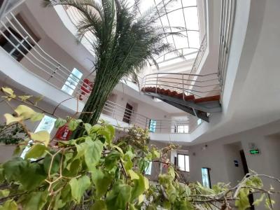Pam Thermal Clinic & Spa - 91
