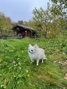 База отдыха Дубки - 49