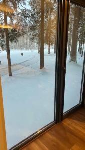 Neshalashi Lesnoy - 99