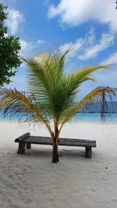 Royal Island Resort at Baa Atoll Biosphere Reserve - 65