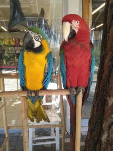 Daima Biz - Dolusu Aquapark Access - 42