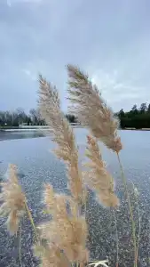 Athena Holiday Resort - 55