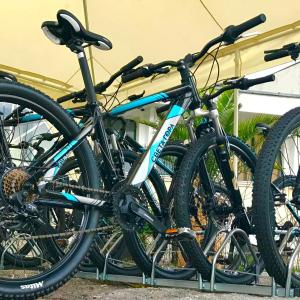 Park RAYA Garden - 93