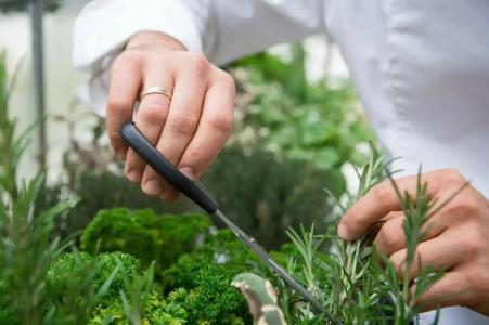 Mercure Krakow Stare Miasto (Old Town) - 44