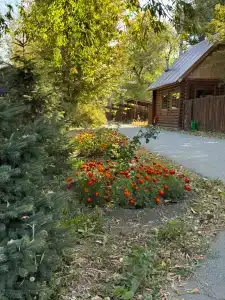 Uralskaya derevnya Tourist base - 47