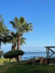 Amsterdam Boutique & Suite - 23