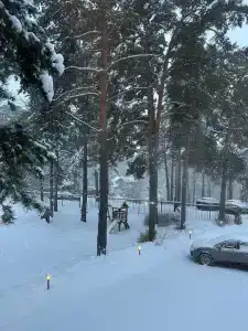 Chernichnyi Bereg - 48