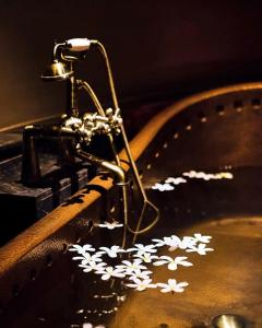 Alila Fort Bishangarh Jaipur - A Hyatt Brand - 44