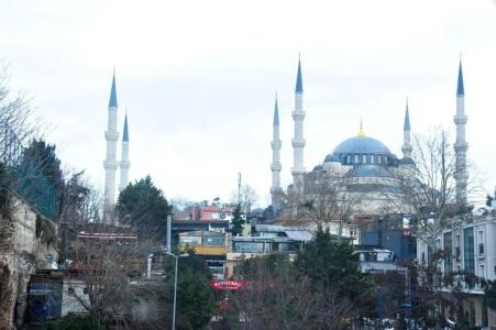 Erguvan - Special Category - 70