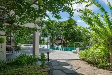 Noku Phuket - 7