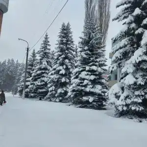 Sanatoriy-Profilaktory Olkhovka - 6