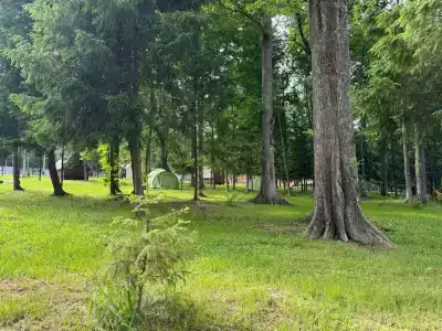 Energiya Tourist base - 8