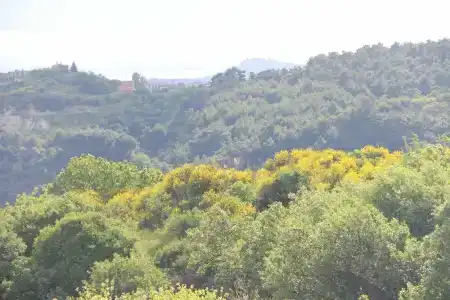 Assos Kayalar Terrace - 21