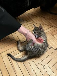 Koryushka Poshla - 7