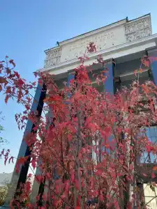 Corendon Playa Kemer - 42