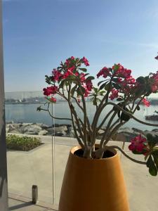 Hyatt Centric Jumeirah Dubai - 40