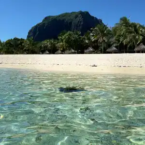 The St. Regis Le Morne Resort, Mauritius - 42