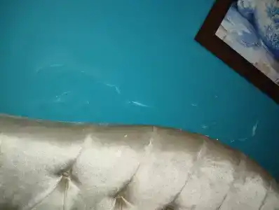 Adora Cafe & Restaurant - 20