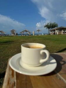 Selectum Family Comfort Side - 46