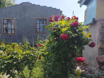 Guest house on Akmatbai-Ata 29 - 2