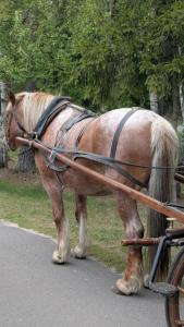 Complex Kamenyuky - 58