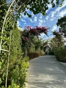 Selectum Luxury Door'a - 6