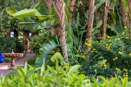 Le Meridien N'fis - 80