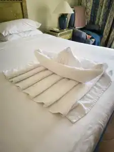 Old Palace Resort Sahl Hasheesh - 70