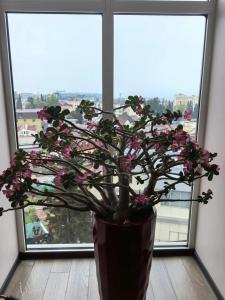 МАРИНАМОЛЛ - 44