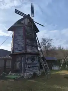 Snezhnyy Bars - 40