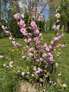 Виктория Спа Минск - 33