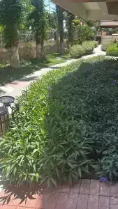 Sarıtaş - All Inclusive - 79