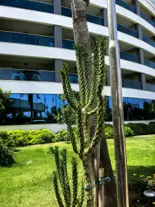 Aquasis De Luxe Resort & SPA - Ultra All Inclusive - 37