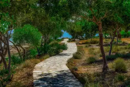 Chrysomare Beach and Resort - 19