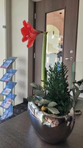 Citys Rūdninkai - 12