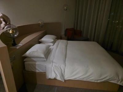 Hayatt Ridzhensi Ekaterinburg - 44