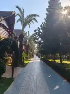 Long Beach Harmony - 99