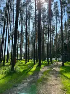 Rassvet - 96