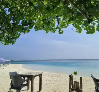 Rashu Hiyaa - 82