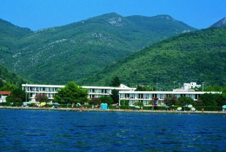 Kamelija - 4