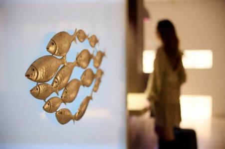 Domotel Olympia - 35