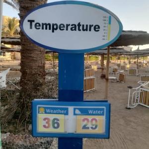 Seagull Beach Resort - Families and Couples Only - 38