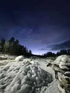 база отдыха Огни Имандры - 77