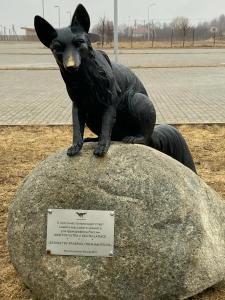 AZIMUT Pereslavl - 58