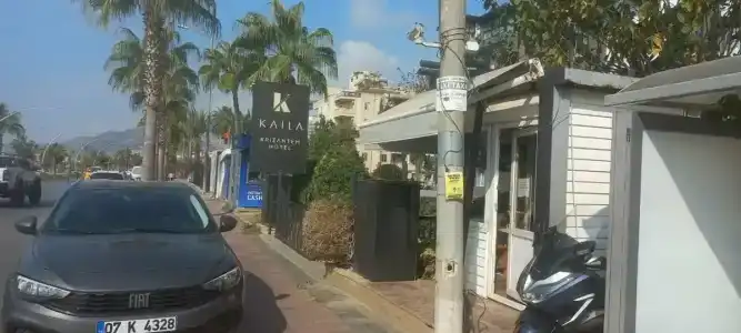 Kaila Krizantem - 94