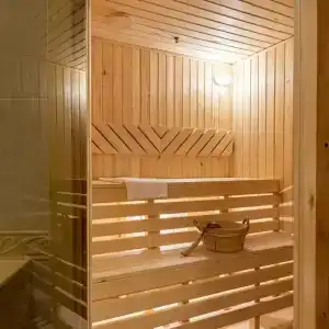 Cosmos Petrozavodsk - 44