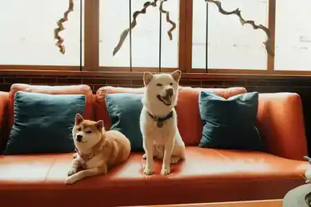 Azimut City Khabarovsk - 23